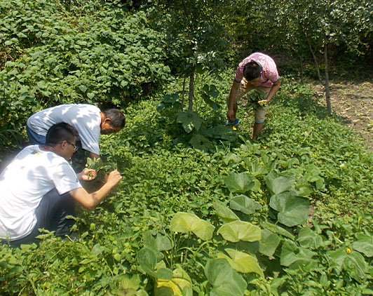 ڶ꠆T_ʼBrwrժˡ