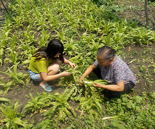 æ_yժĲ˲ϸժЧʵͣ^Ϥָ꠆ܿTMˠB