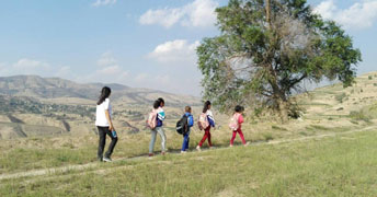 ꖻ_kһģl(xing)֧̣ͺӻؼ