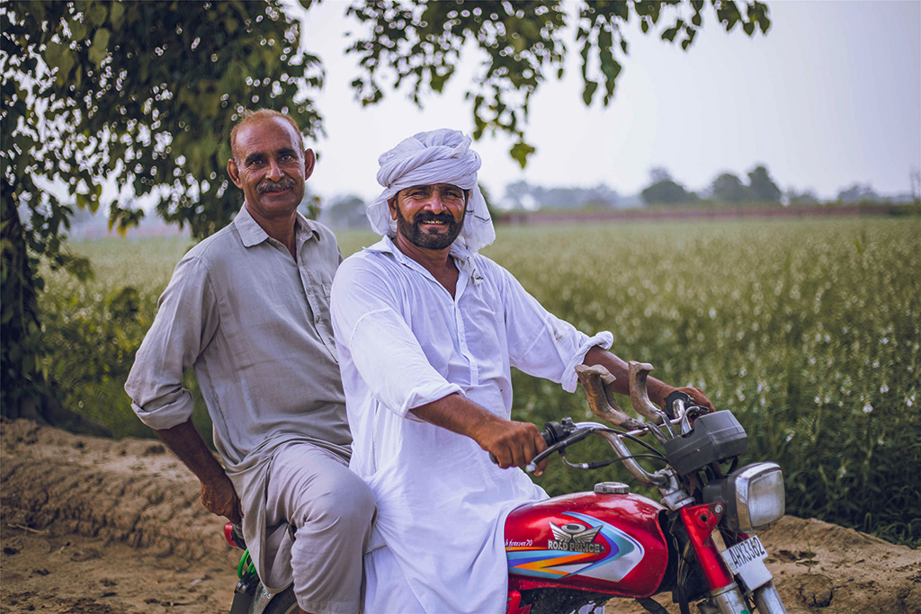 芝麻種植基地給當(dāng)?shù)厝藥砀嗑蜆I(yè)機(jī)會。（人民網(wǎng)記者 薛丹攝）